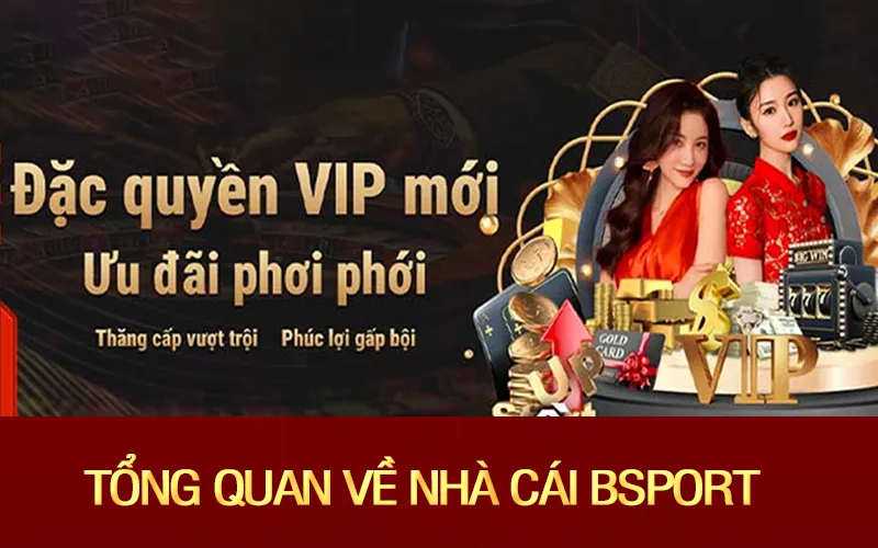 Thông tin tổng quan về sân chơi cá cược Bsport