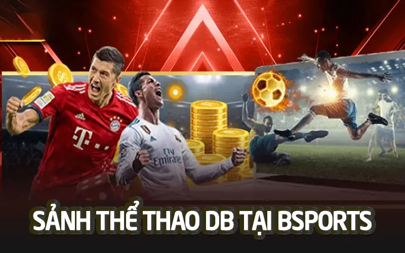 DB Thể Thao - Trải Nghiệm Thể Thao Tuyệt Vời Tại Bsport