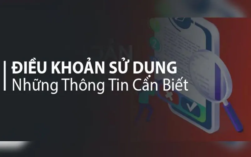 Tóm tắt điều khoản sử dụng Bsport là gì?