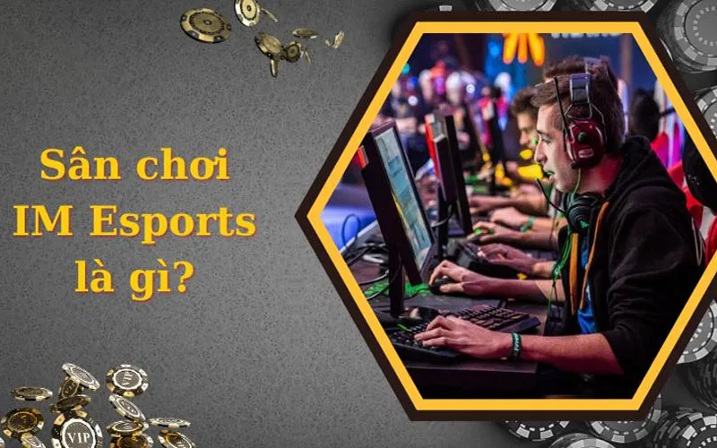 Tìm hiểu IM Esports là gì?