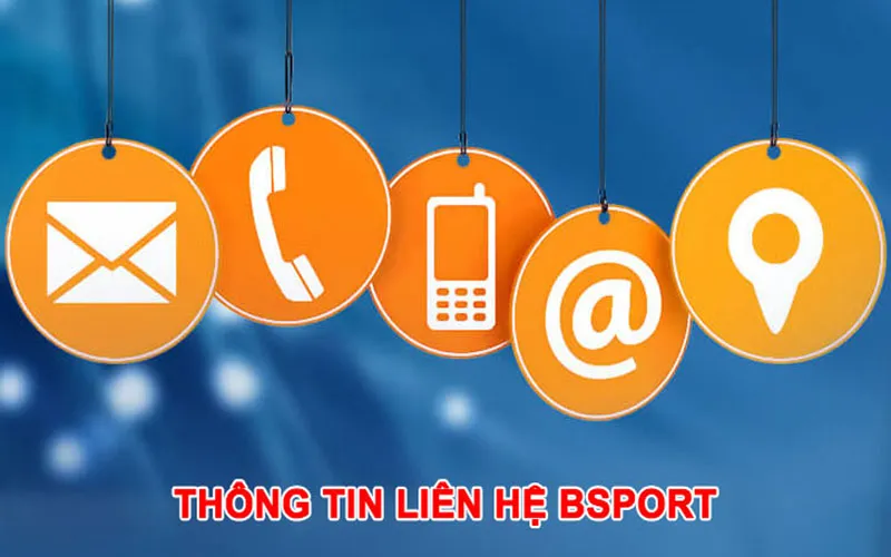 Các phương thức để kết nối với Bsport nhanh chóng và tiện lợi