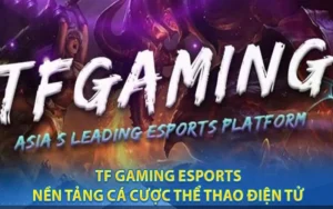 TF Esports – Đỉnh cao cá cược thể thao điện tử tại Bsports