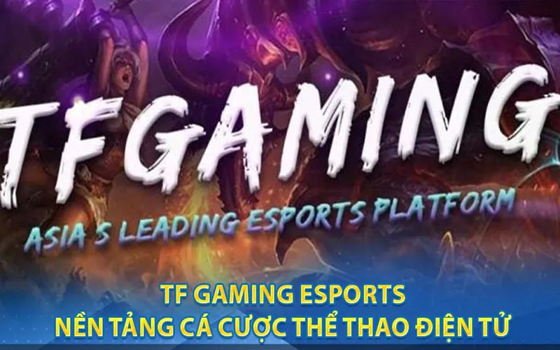 TF Esports – Đỉnh cao cá cược thể thao điện tử tại Bsports