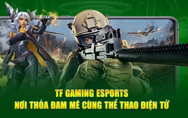 Tìm hiểu một vài thông tin về sảnh TF Esports