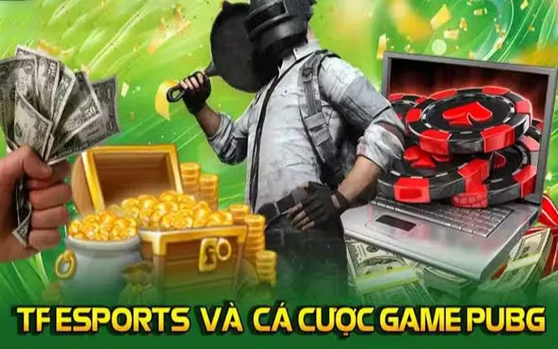 TF Esports và cá cược game PUBG hấp dẫn